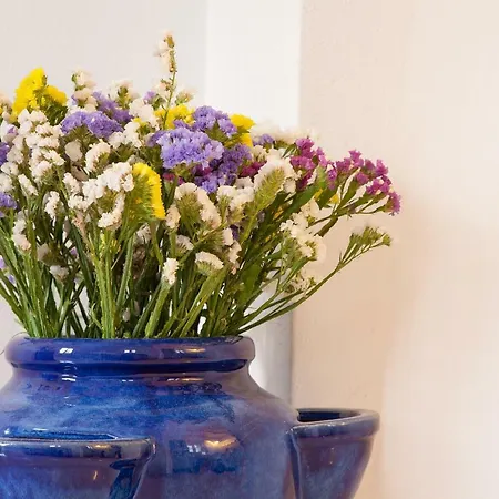 Elena's House 6 Tatil Evi